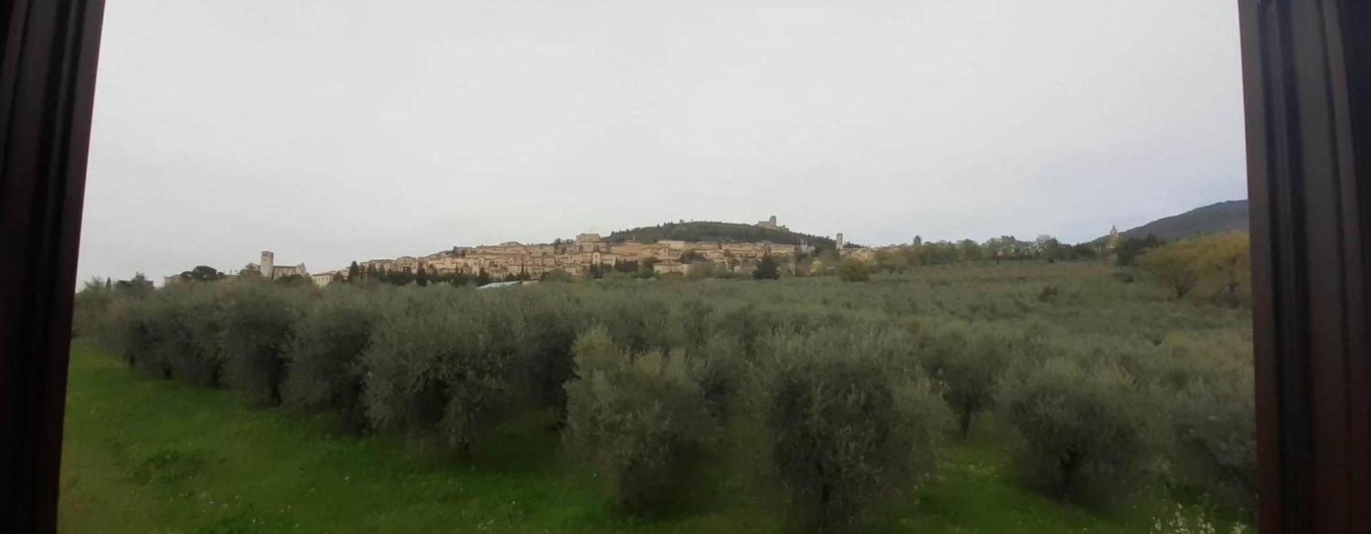 Appartamenti Cardinali Assisi Kültér fotó